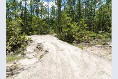 Cedar Road, New Smyrna Beach, FL 32168 - Photo 5