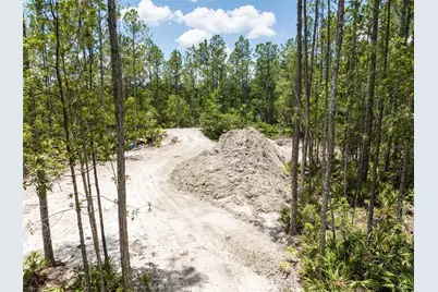 Cedar Road, New Smyrna Beach, FL 32168 - Photo 7