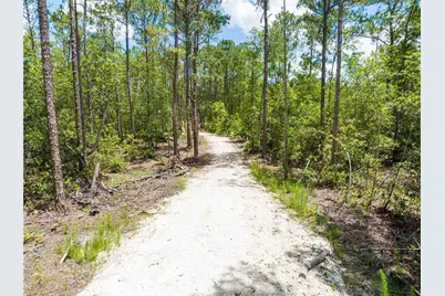 Cedar Road, New Smyrna Beach, FL 32168 - Photo 3