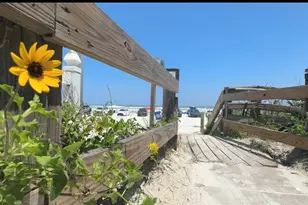 320 Due East St, New Smyrna Beach, FL 32169 - Photo 11