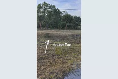 2615 Glencoe Farms Road, New Smyrna Beach, FL 32168 - Photo 3