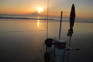 11 Andrea Dr, New Smyrna Beach, FL 32168 - Photo 39