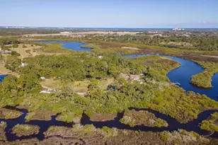 1390 Tumblin Dr, New Smyrna Beach, FL 32168 - Photo 5