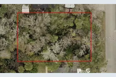 332 Patricia Drive, New Smyrna Beach, FL 32168 - Photo 3