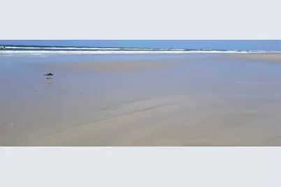 40 Sandra Circle, New Smyrna Beach, FL 32168 - Photo 43