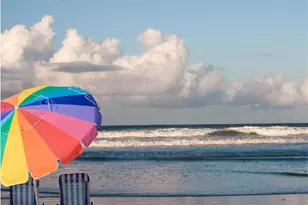 26 Birdie Dr, New Smyrna Beach, FL 32168 - Photo 43