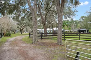 1715 Fern Park Dr, Port Orange, FL 32128 - Photo 71