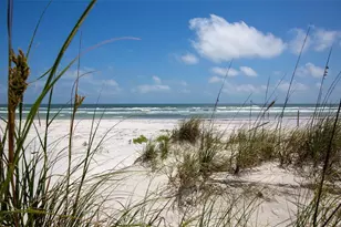 265 Minorca Beach Way, New Smyrna Beach, FL 32169 - Photo 25