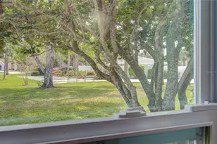 731 Pine Shores Cir, New Smyrna Beach, FL 32168 - Photo 23