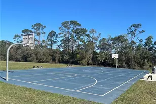 3611 Marisol Ct, New Smyrna Beach, FL 32168 - Photo 75