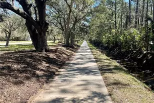 3611 Marisol Ct, New Smyrna Beach, FL 32168 - Photo 77