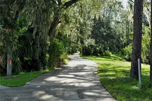 3611 Marisol Ct, New Smyrna Beach, FL 32168 - Photo 61