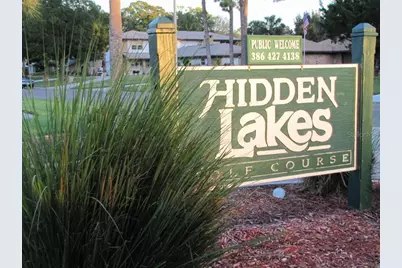 316 Citrus Open Drive, New Smyrna Beach, FL 32168 - Photo 39