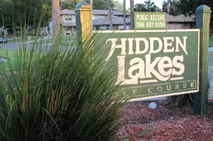 316 Citrus Open Dr, New Smyrna Beach, FL 32168 - Photo 39