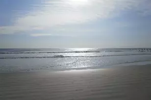 316 Citrus Open Dr, New Smyrna Beach, FL 32168 - Photo 51