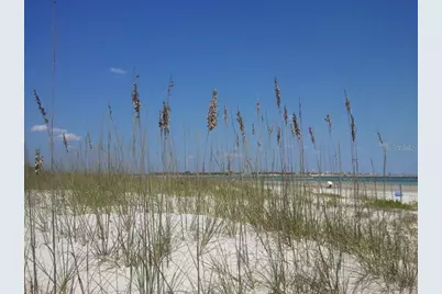 316 Citrus Open Drive, New Smyrna Beach, FL 32168 - Photo 49