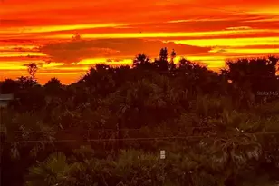 919 N Atlantic Ave, New Smyrna Beach, FL 32169 - Photo 33