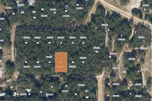 Diana St, Interlachen, FL 32148 - Photo 1