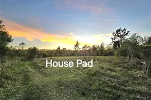 2625 Glencoe Farms Rd, New Smyrna Beach, FL 32168 - Photo 1