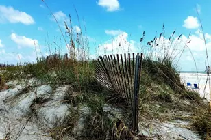 585 Corbin Park Rd, New Smyrna Beach, FL 32168 - Photo 63