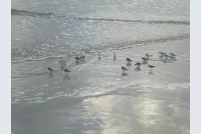 585 Corbin Park Road, New Smyrna Beach, FL 32168 - Photo 69