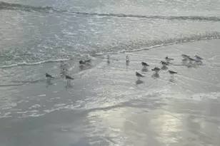 585 Corbin Park Rd, New Smyrna Beach, FL 32168 - Photo 69