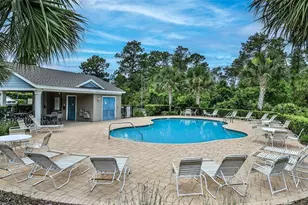 441 White Coral Dr, New Smyrna Beach, FL 32168 - Photo 45