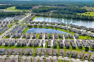 349 Caryota Ct, New Smyrna Beach, FL 32168 - Photo 35