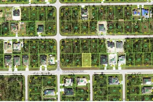 14106 San Domingo Blvd, Port Charlotte, FL 33981 - Photo 1