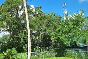 432 Palmetto St, Edgewater, FL 32132 - Photo 35