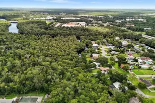 29 Twin River Dr, Ormond Beach, FL 32174 - Photo 9