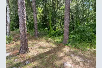 00, Deland, FL 32724 - Photo 7