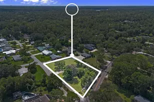 2464 Lydia Way, New Smyrna Beach, FL 32168 - Photo 3