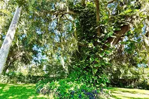 631 Elm Ave, Holly Hill, FL 32117 - Photo 23