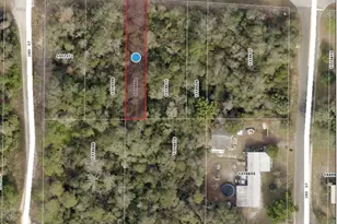 45009 3rd St, Deland, FL 32720 - Photo 1