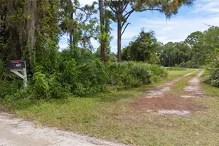 4245 Clinton Cemetery Rd, Edgewater, FL 32141 - Photo 43