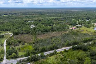 4245 Clinton Cemetery Rd, Edgewater, FL 32141 - Photo 51