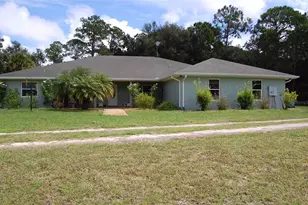 4245 Clinton Cemetery Rd, Edgewater, FL 32141 - Photo 3