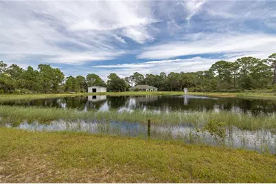 4245 Clinton Cemetery Road, Edgewater, FL 32141 - Photo 41