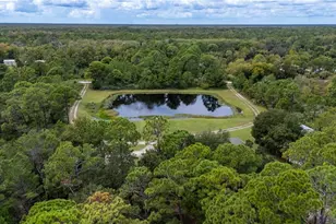 4245 Clinton Cemetery Rd, Edgewater, FL 32141 - Photo 53