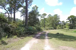 4245 Clinton Cemetery Rd, Edgewater, FL 32141 - Photo 47