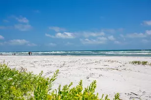 265 Minorca Beach Way, New Smyrna Beach, FL 32169 - Photo 7