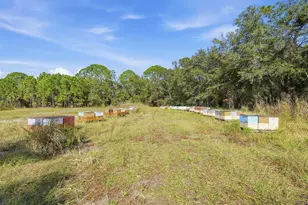 270 Wright Grove Rd, Oak Hill, FL 32759 - Photo 11