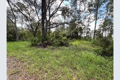 246 Browns Hammock Road, Crescent City, FL 32112 - Photo 3