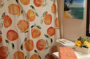 6318 Turtlemound Rd, New Smyrna Beach, FL 32169 - Photo 21