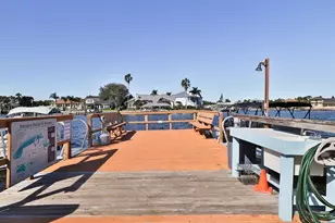 325 N Causeway, New Smyrna Beach, FL 32169 - Photo 37