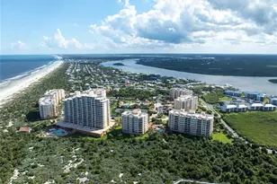 263 Minorca Beach Way, New Smyrna Beach, FL 32169 - Photo 51