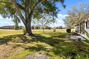 5435 Grove Mnr, Lady Lake, FL 32159 - Photo 35