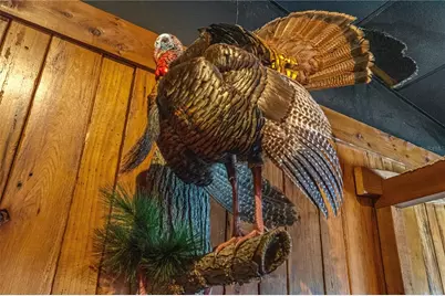 4170 US Highway 1, Edgewater, FL 32141 - Photo 25