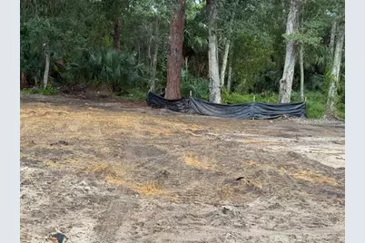 2794 S Ridgewood Avenue S, Edgewater, FL 32141 - Photo 9